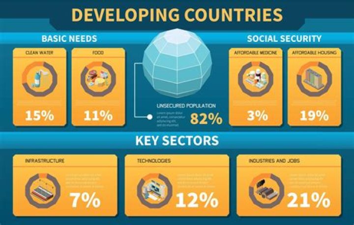 Does the World Bank give loans to developing countries?