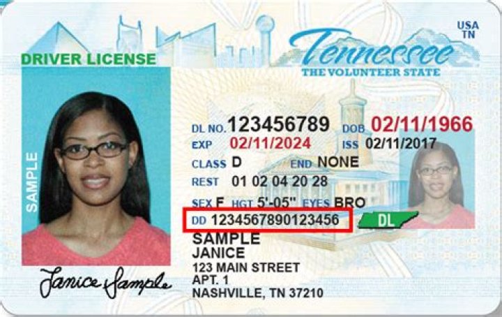 How do I find my DD number?