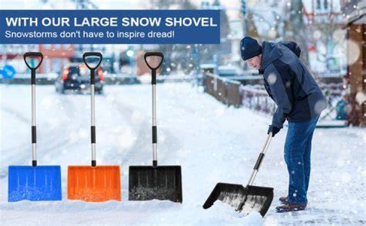 How much should you pay a kid to shovel snow?