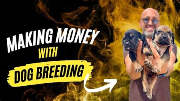 Is being a dog breeder profitable?
