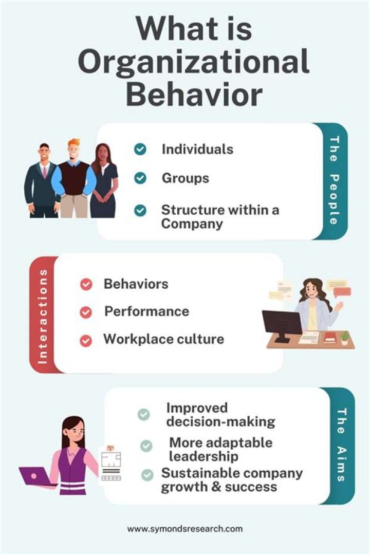 Is organizational behavior is a disciplinary approach?