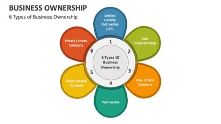What are the 4 patterns in business ownership?