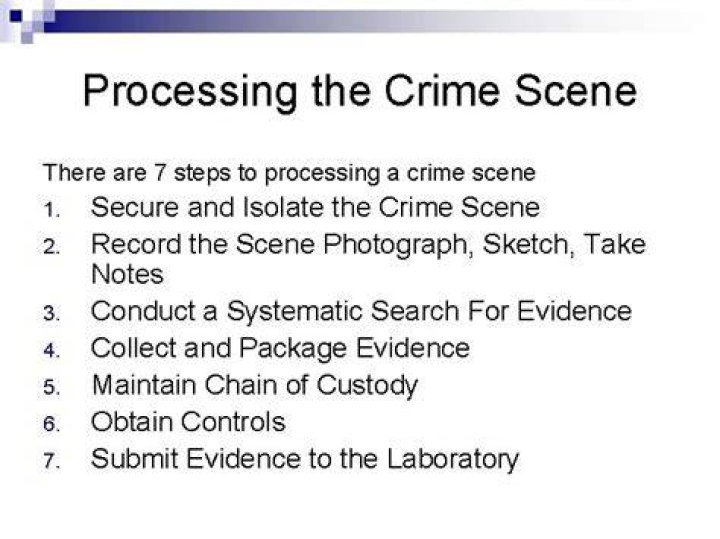 What are the 5 steps of processing a crime scene?
