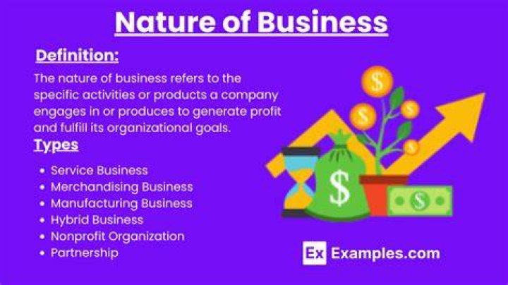 What are the basic nature of the business?