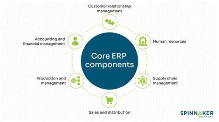 What are the core components of ERP?