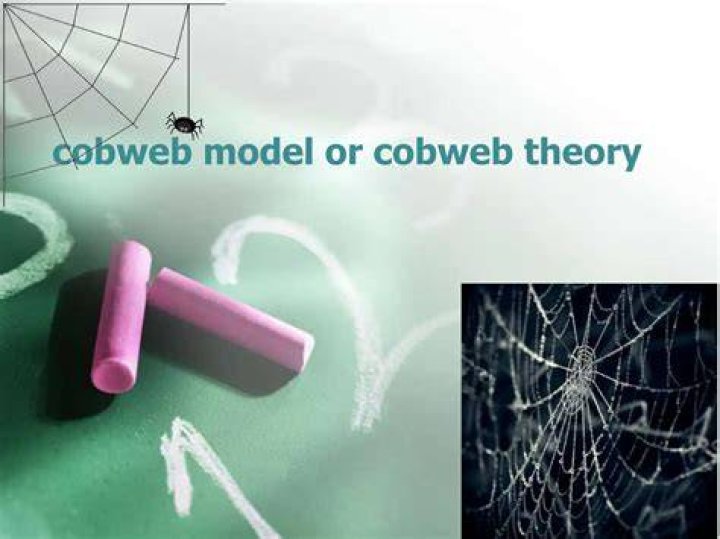 What expectation is the cobweb theory based on?