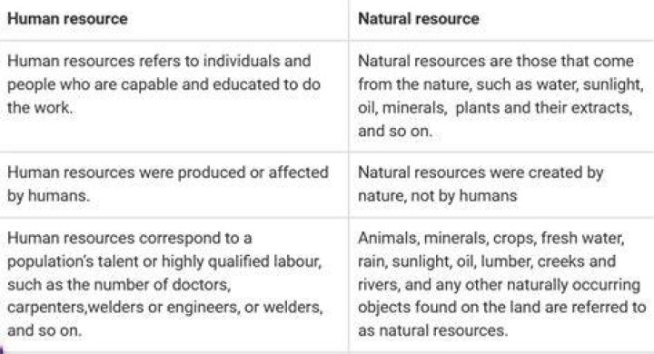 What is the difference between human resource and human resources?