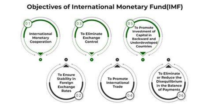 What is the main function of International Monetary Fund?
