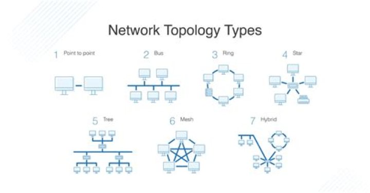 What network type is most suitable for the business?