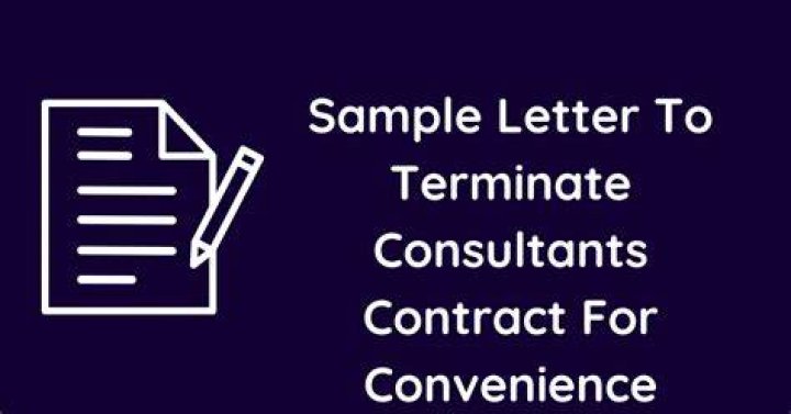 When can the government terminate a contract for convenience?