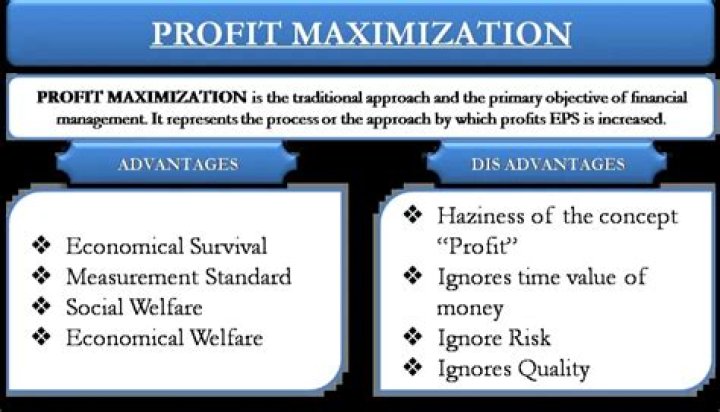 Which is better between profit maximization and wealth maximization?
